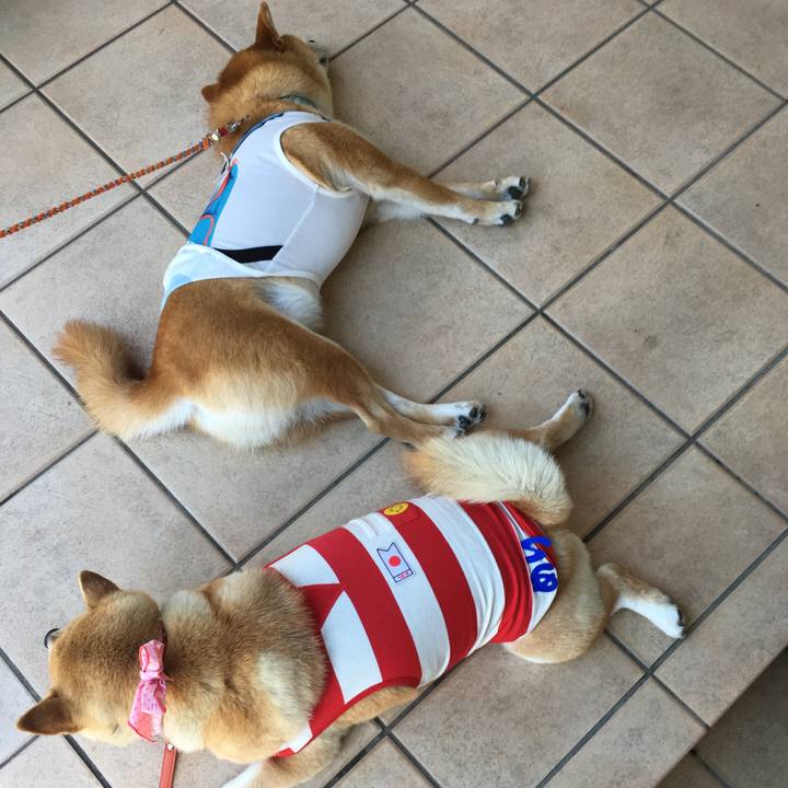 D062be36 2382 41e5 b360 d36af0855db2 1560676340943