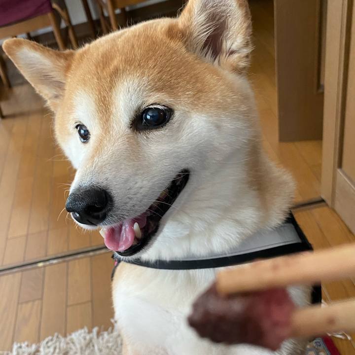 D062dc0d d097 43b6 a675 3555873c3381 1653712298108