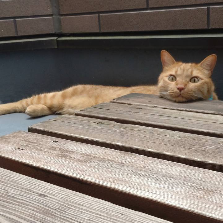 D063088f b8af 4734 b8a7 ea61488a705f 1725684634773