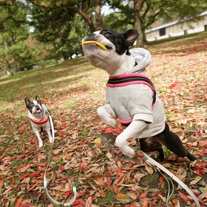 D0630ecb b3a6 4b8d a2c0 7ff9d2c4d98c 1510465300208