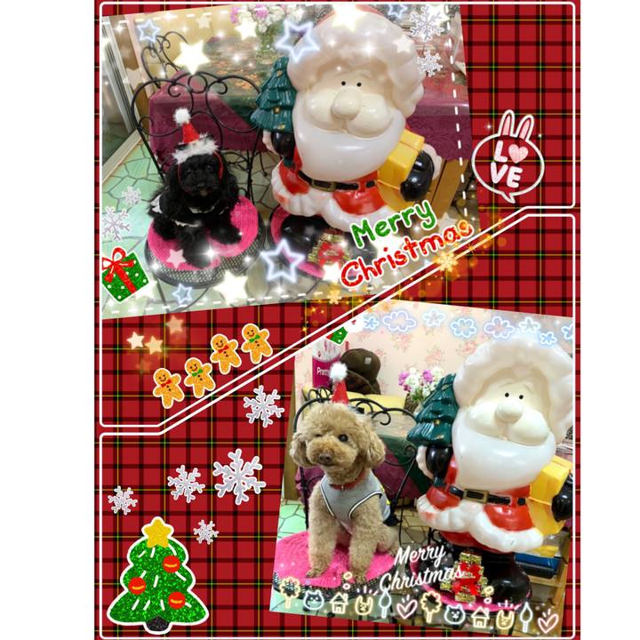 D0632fcb 779c 48c1 af69 390a5a0576ac 1545547846434