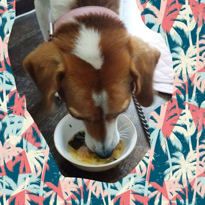 D0633232 d0bf 47a5 9e13 7acd53ac22c9 1594887684859