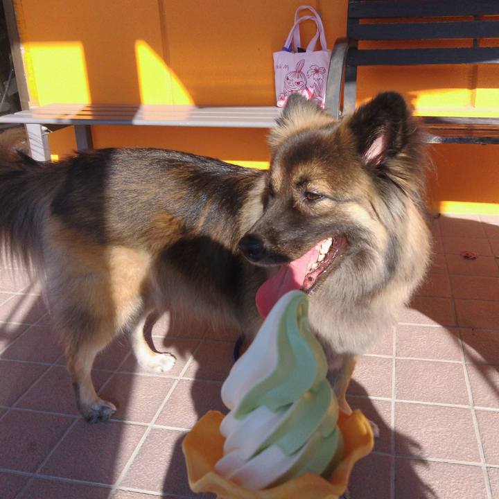 D0634660 2065 491e 9641 c62581b4fa66 1763276610010