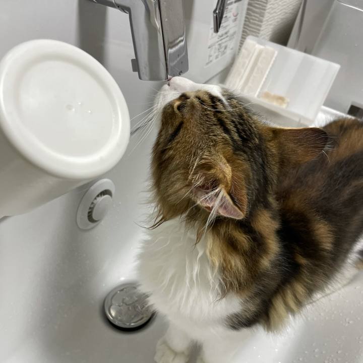 D06350cd bf72 4a0b b366 867d16ed09d0 1635540634118