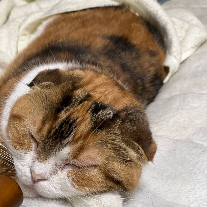 D063686a 35ff 40be bb6d 1b0dacfb0f81 1680619409562