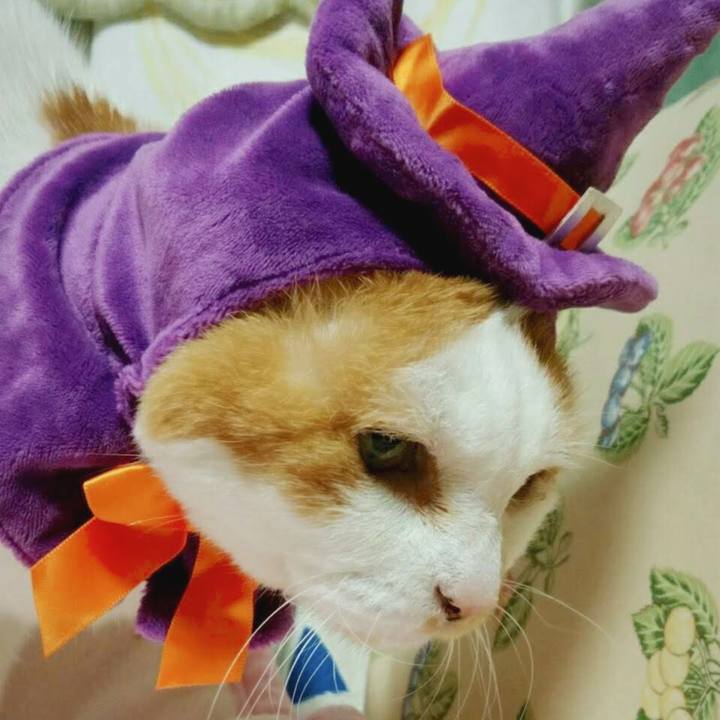 D0637957 1673 4c50 81d8 ee3541a84777 1697979903398