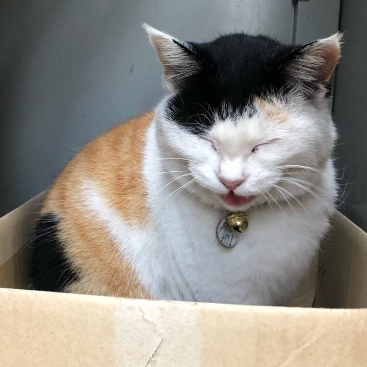 D063b87b 7b50 4110 b5a1 819bc188edb6 1608808615585