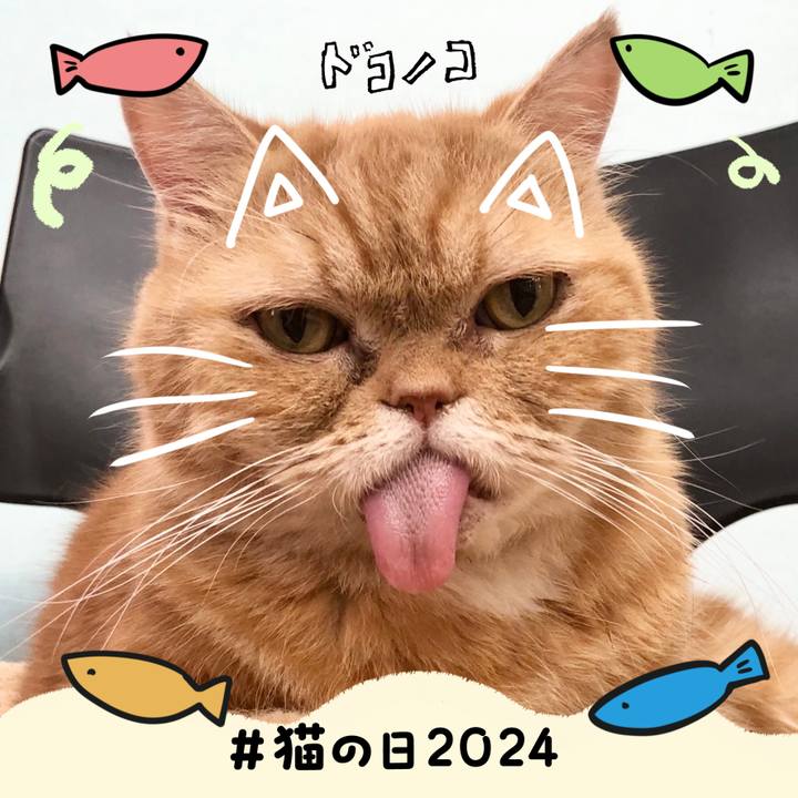 D063e73a 6f64 45c8 9c08 a343c756bc04 1708583231507