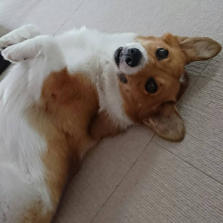 D0644ab6 c373 42f2 9863 4db54f3b0b1f 1534311276579