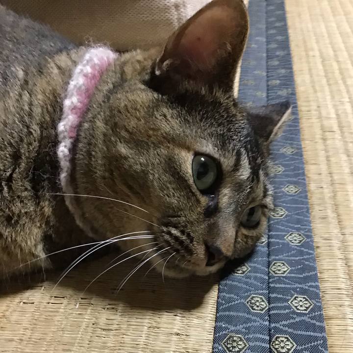 D0647c35 5411 48c7 abc8 0289bee83260 1663160038550