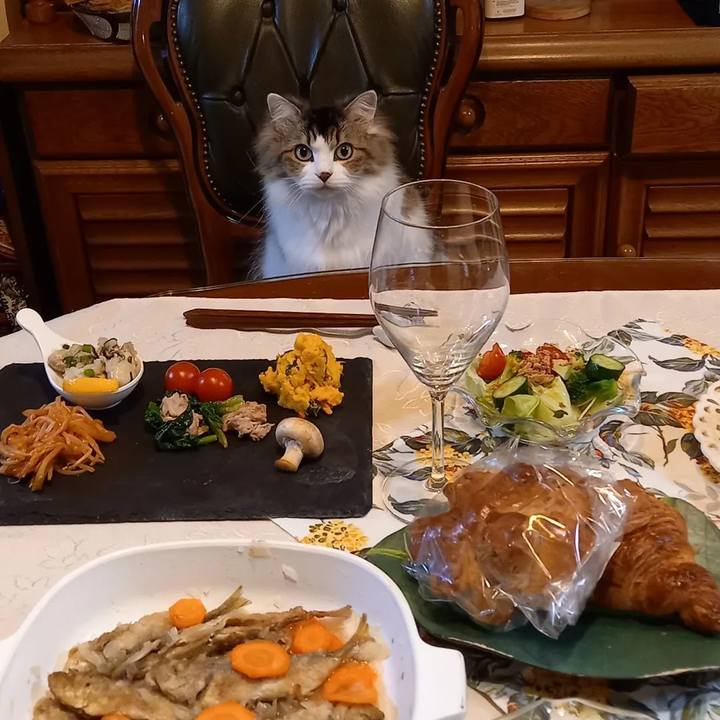 D064b051 6e76 4097 9808 65e0609a2e40 1644671113029