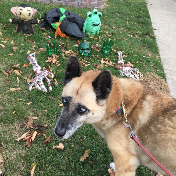 D064b3f2 c995 4bc2 8d9a 50f3cc84c609 1540676291405