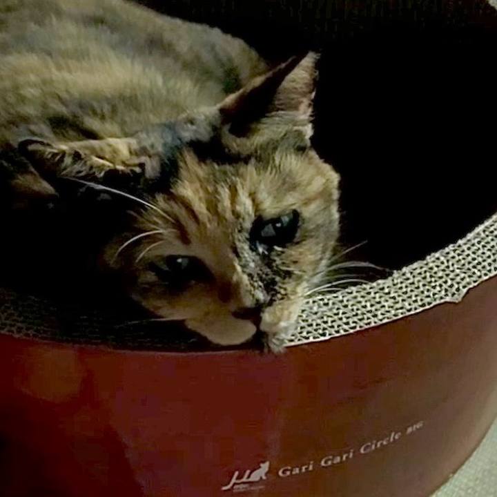 D064cdb6 ee84 40fd 9db3 45641b104bb0 1757333134212