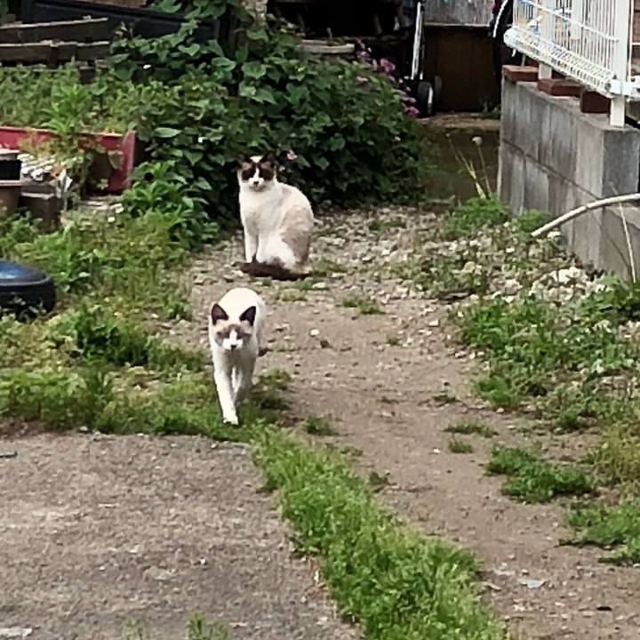 D064db41 c56c 4a82 8d89 d3864fe5d355 1525787336088