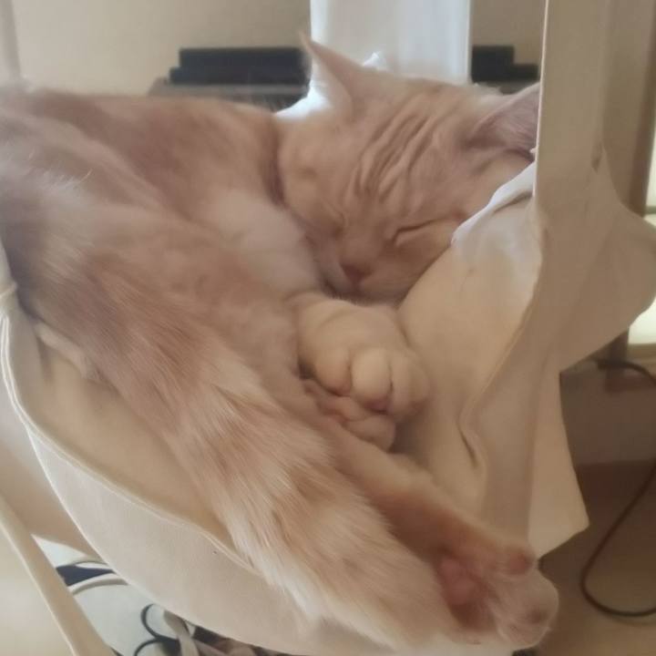 D064e405 e771 48ab b094 fe9fb806fec7 1543368237595