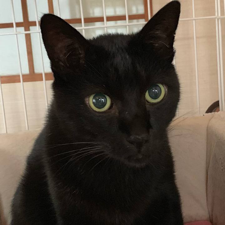 D0651903 bd8a 48b6 9a58 54c9cb0766b5 1542847392681