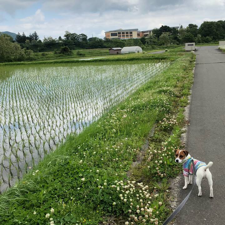 D06519dd c02a 4308 b318 e3c523b8546f 1527832734363