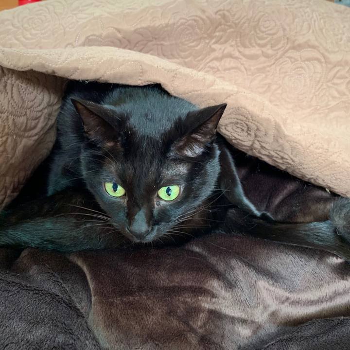 D0655c24 b37d 49e3 9881 676e0ca312d4 1574478210973