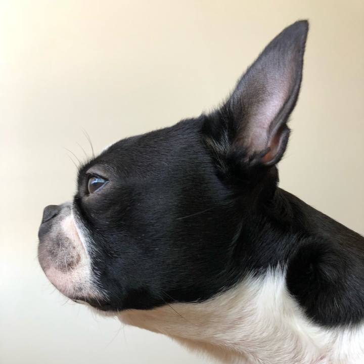 D065699c c4c7 48fa 9f7d 4c8d45755bbf 1524201223954