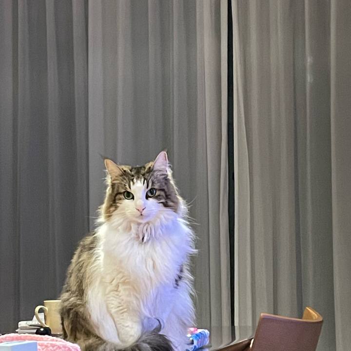 D0658cc1 5e5d 40a5 8219 d482de505998 1647444489838