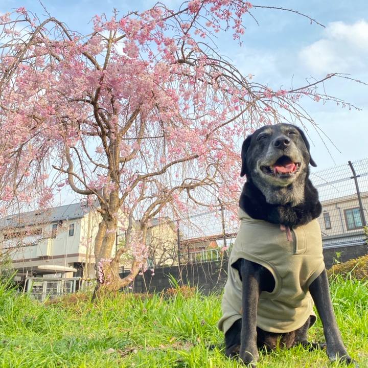 D065e36c 30e8 49af 839e bf23b501e153 1649342265108