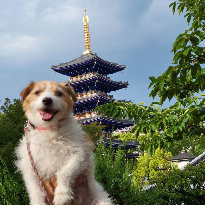 D0664bc8 624d 45ab 805d 7f24233fe99e 1717317373858