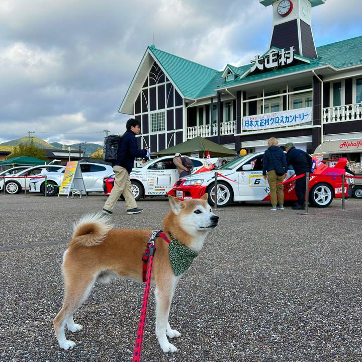 D06664e8 1757 40e8 9417 e620a75936e1 1700382935209