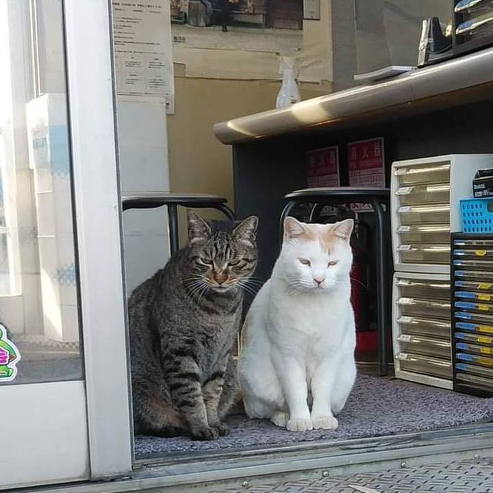 D066816a 40c6 4781 96e6 a2139572da89 1646645457141