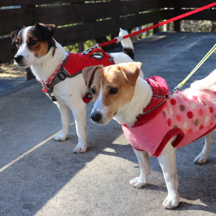 D0668350 2b8f 4ee4 a22c f4dd8c4d56c9 1515908460519