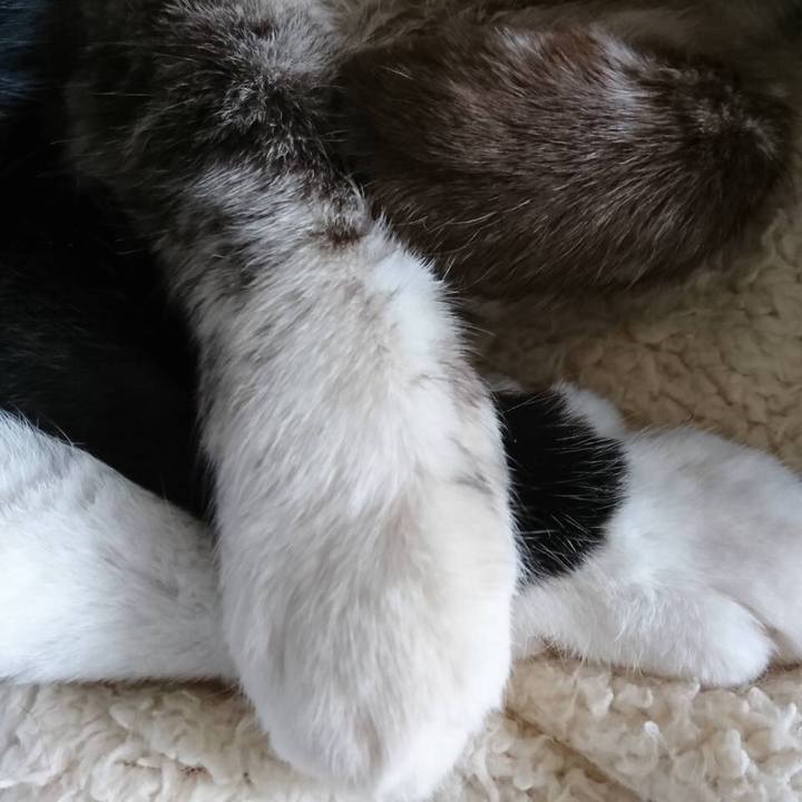 D0669596 7932 451c 975e 61806e099b20 1560097035799