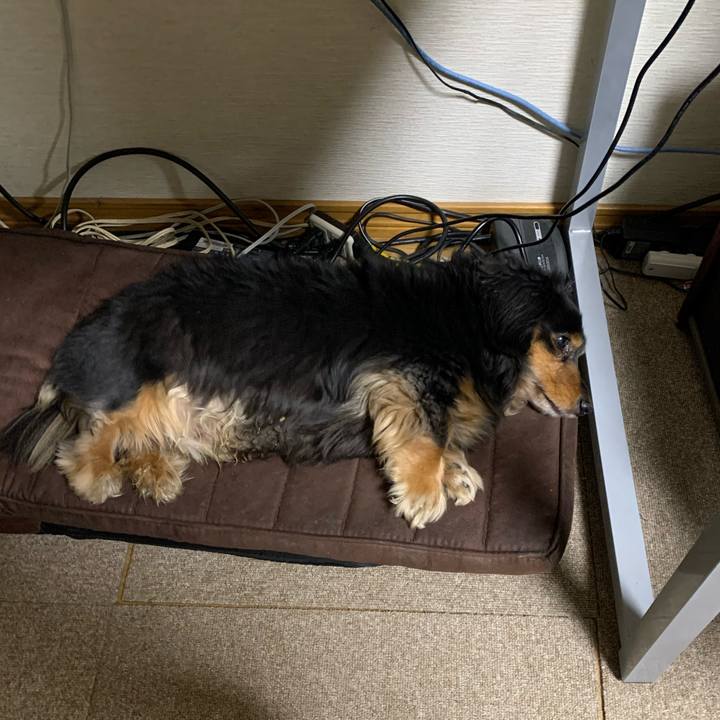 D066c6f6 d3d3 43ff ad27 23c69a4bc383 1582548336994