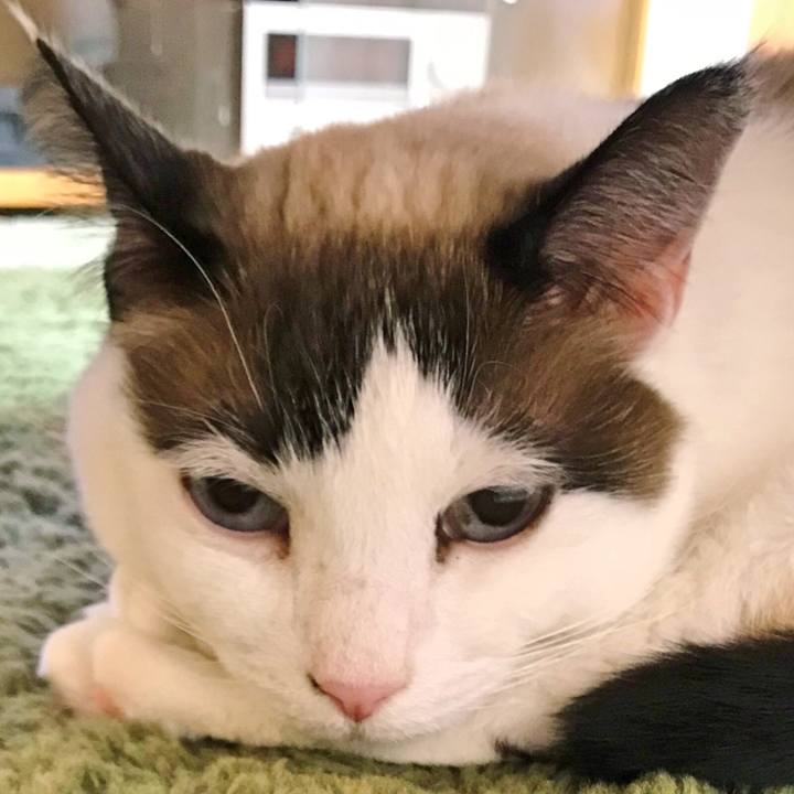 D0670aa7 dbcd 4472 b811 4729ee0e9625 1516800364285