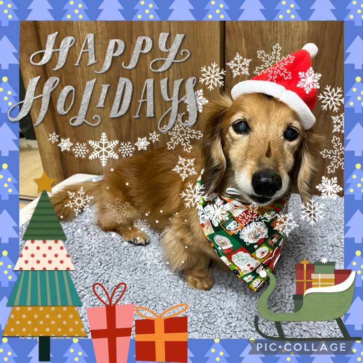 D0671bea 1edc 4ce6 9cda cadab640091c 1671976511392