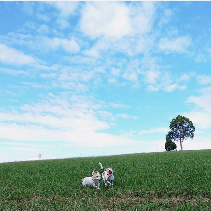 D06745c1 5228 403d 9c1d 94cbc68265ad 1665183201671