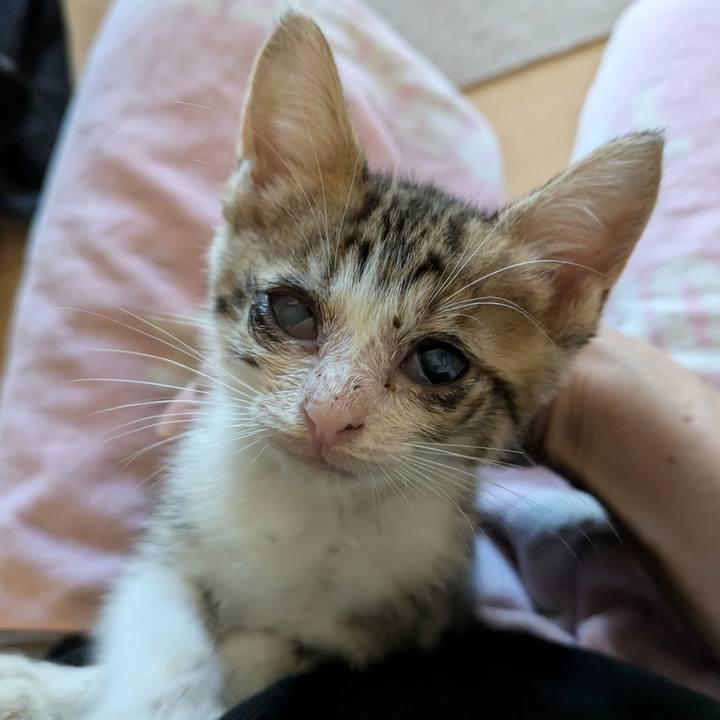 D06758cd 3791 467d 93a0 b5346e1306a6 1726386416019