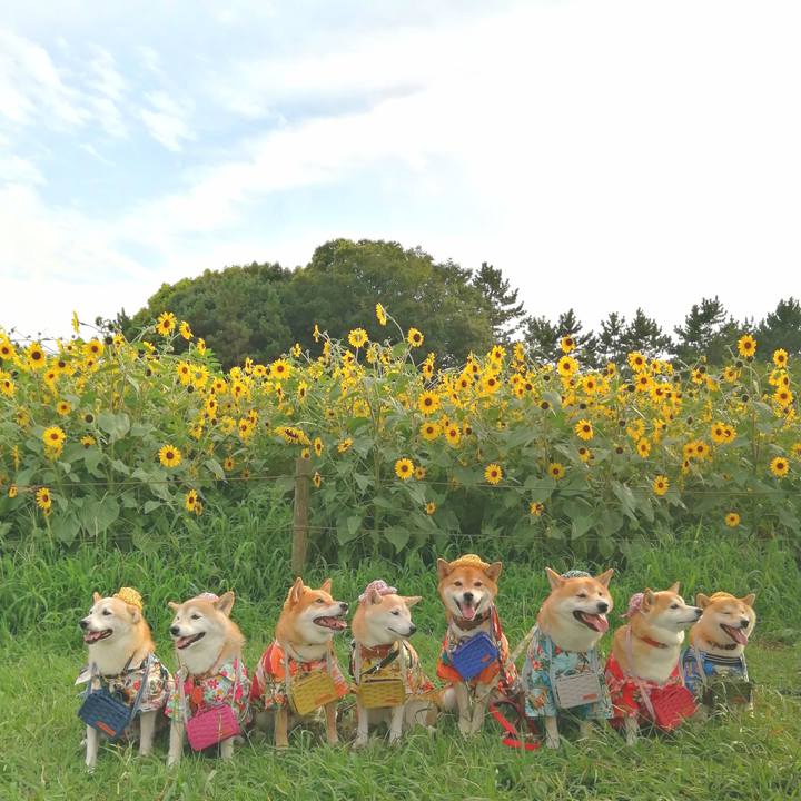 D06759fd df92 4df4 8d04 6786bea5e29a 1661177659833