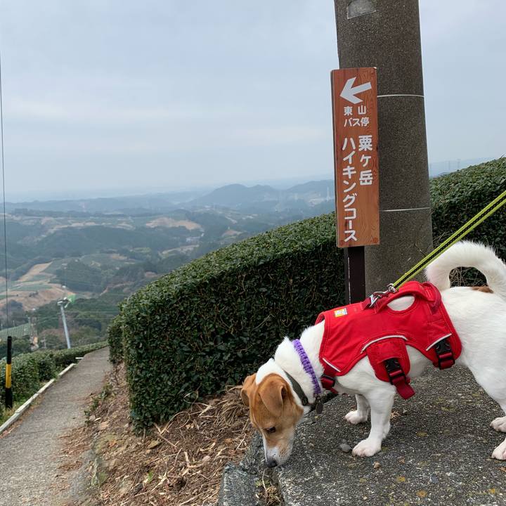 D067660e 6743 48f8 a997 a05669a6d36a 1581750130240