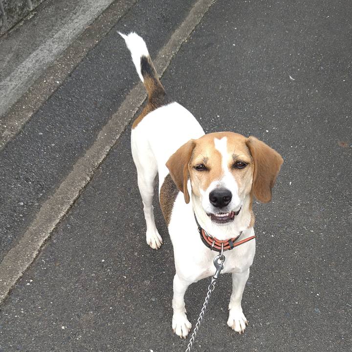 D067837c ee4f 4b37 82c9 cc6aa48a72b9 1632311196442