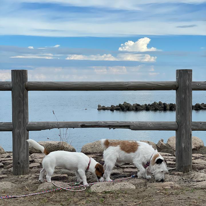 D0678be8 6236 4068 9ebb df2e26749721 1628379668666