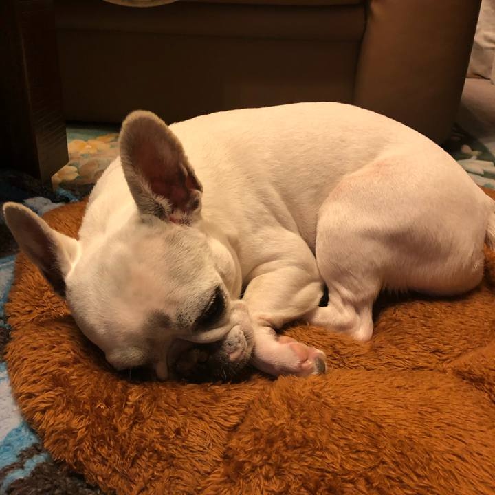 D0678f22 85b0 4ba8 bb9b 8925e4c8dda1 1590672152803