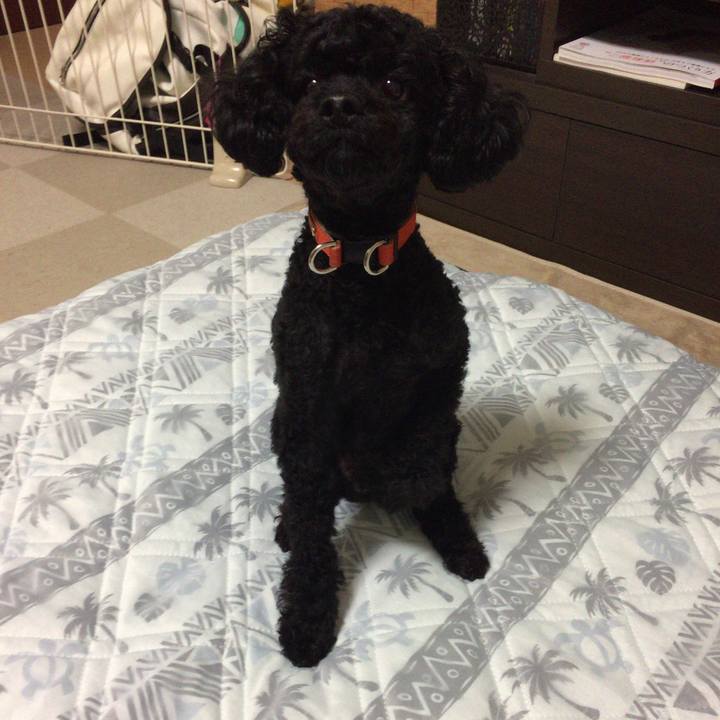 D067c0ea e5e0 4de2 b4fe 12ea83af5f01 1508574043653