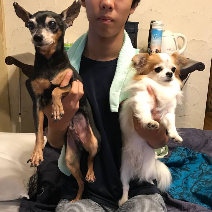 D067c406 df62 40cf 9aab 677991840d64 1536491440986