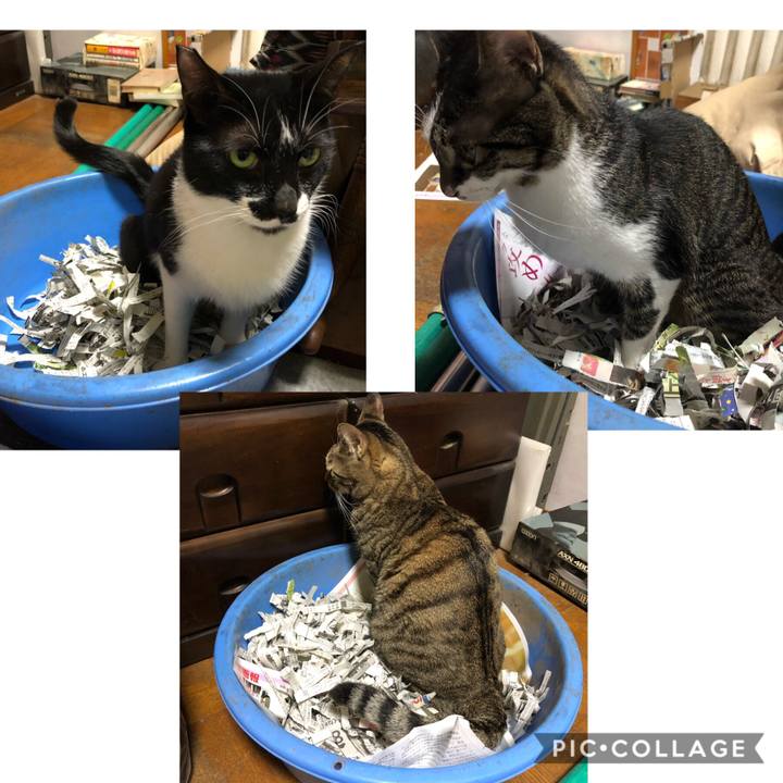 D067d621 5738 4831 a92f 41beb5e7498d 1571727565690