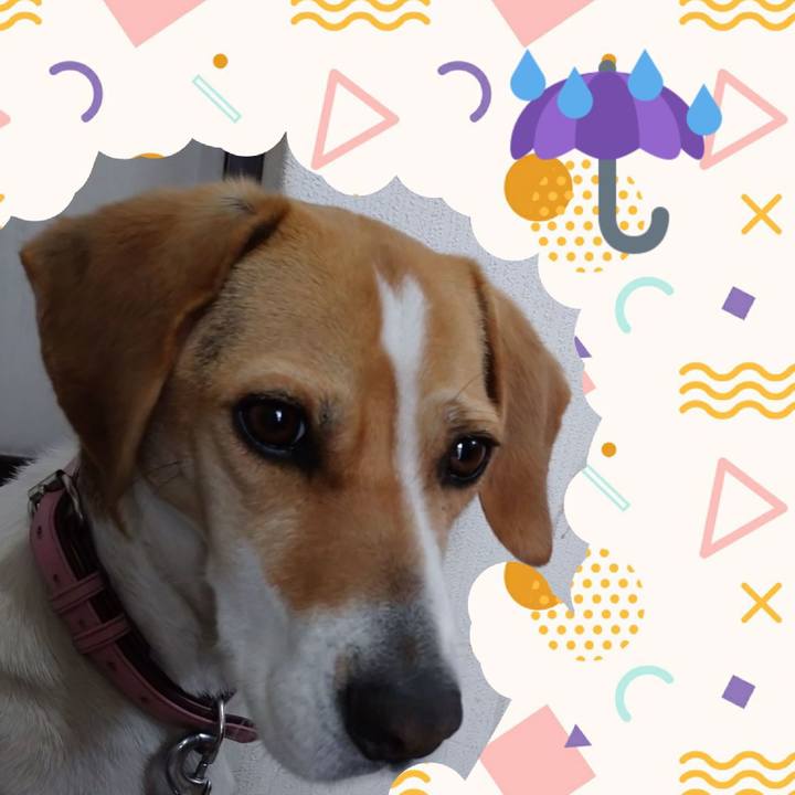 D0680316 29ab 48ba 8635 b59011299216 1586757454292