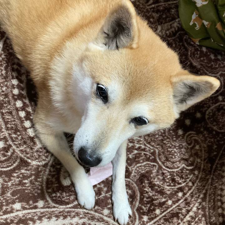 D0681fda 4820 42c7 9d81 6545fd86cf28 1612615820692