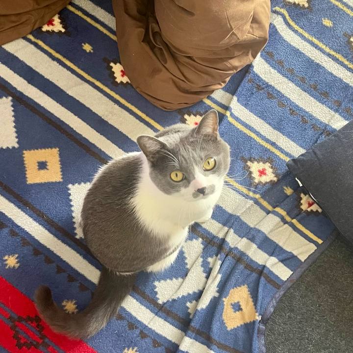 D06844aa d1bf 442d afdc 58839d7b12f2 1677563326876