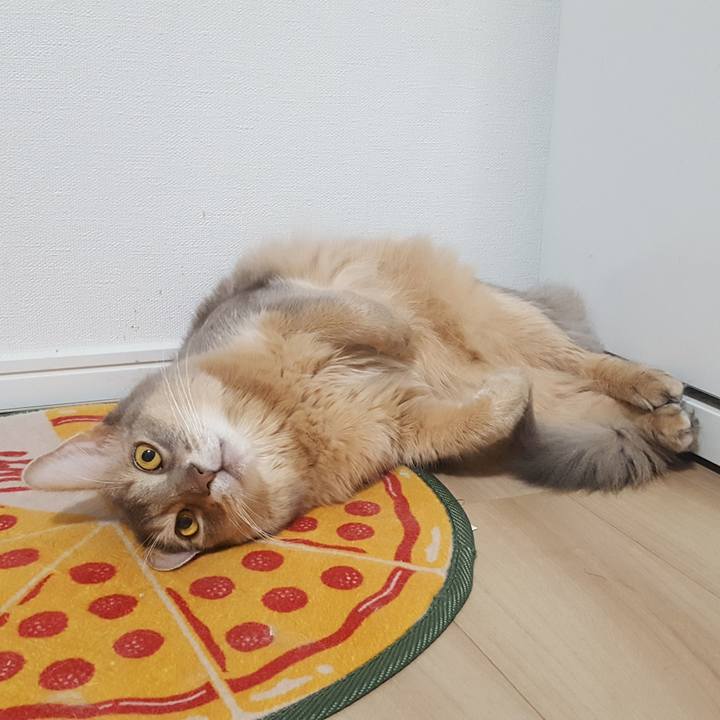 D0685bad 9c23 4d7b a938 0bd13d27c8f7 1571559515420