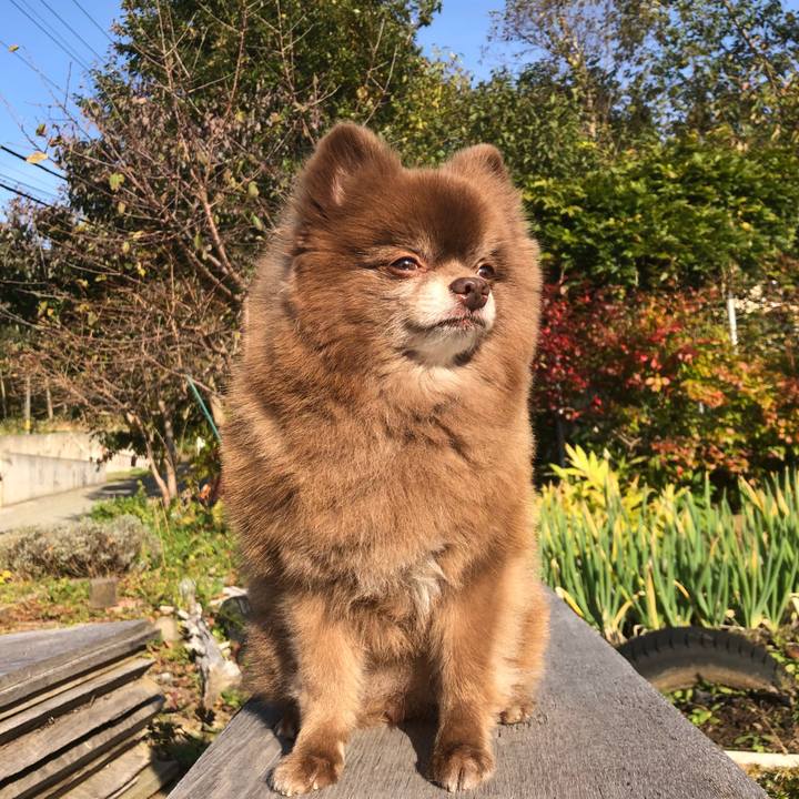 D06871c1 0f19 4279 84ab add4c41a2763 1540251007750