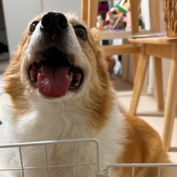 D068cb6b c047 45ea 8a90 60d04f0637f6 1770122109543