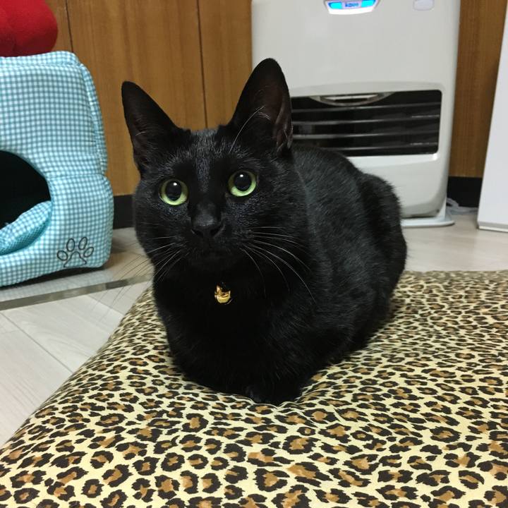 D068ecd7 b632 4108 b049 00498b54430b 1514204609462